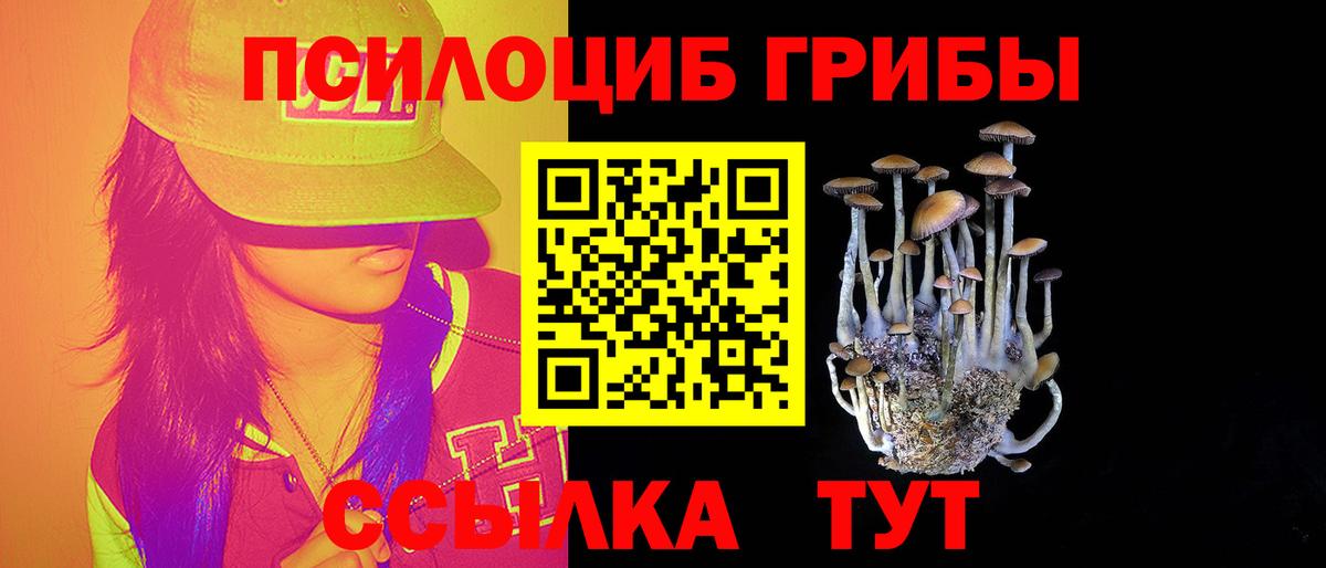 Псилоцибиновые грибы GOLDEN TEACHER  Вход с VPN  Псилоцибиновые грибы GOLDEN TEACHER  Кстово 